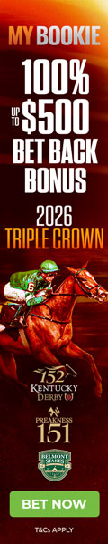 MB HORSES 120x600 Jpg
